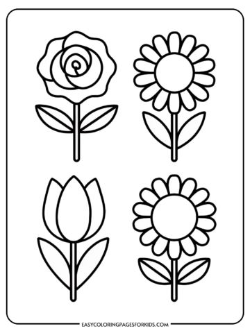 A coloring page with outlines of four different flowers: a rose, a daisy, a tulip, and another daisy, each with stems and leaves.