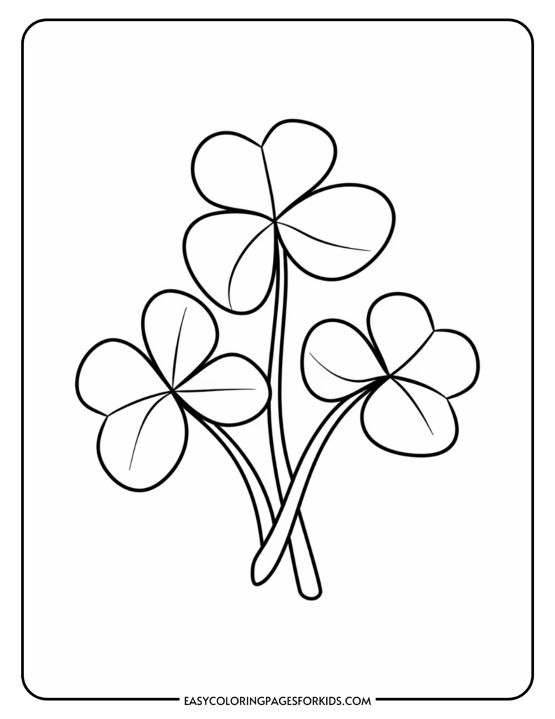 Line drawing of three shamrock plants with four heart-shaped leaves each, arranged on a simple white background.